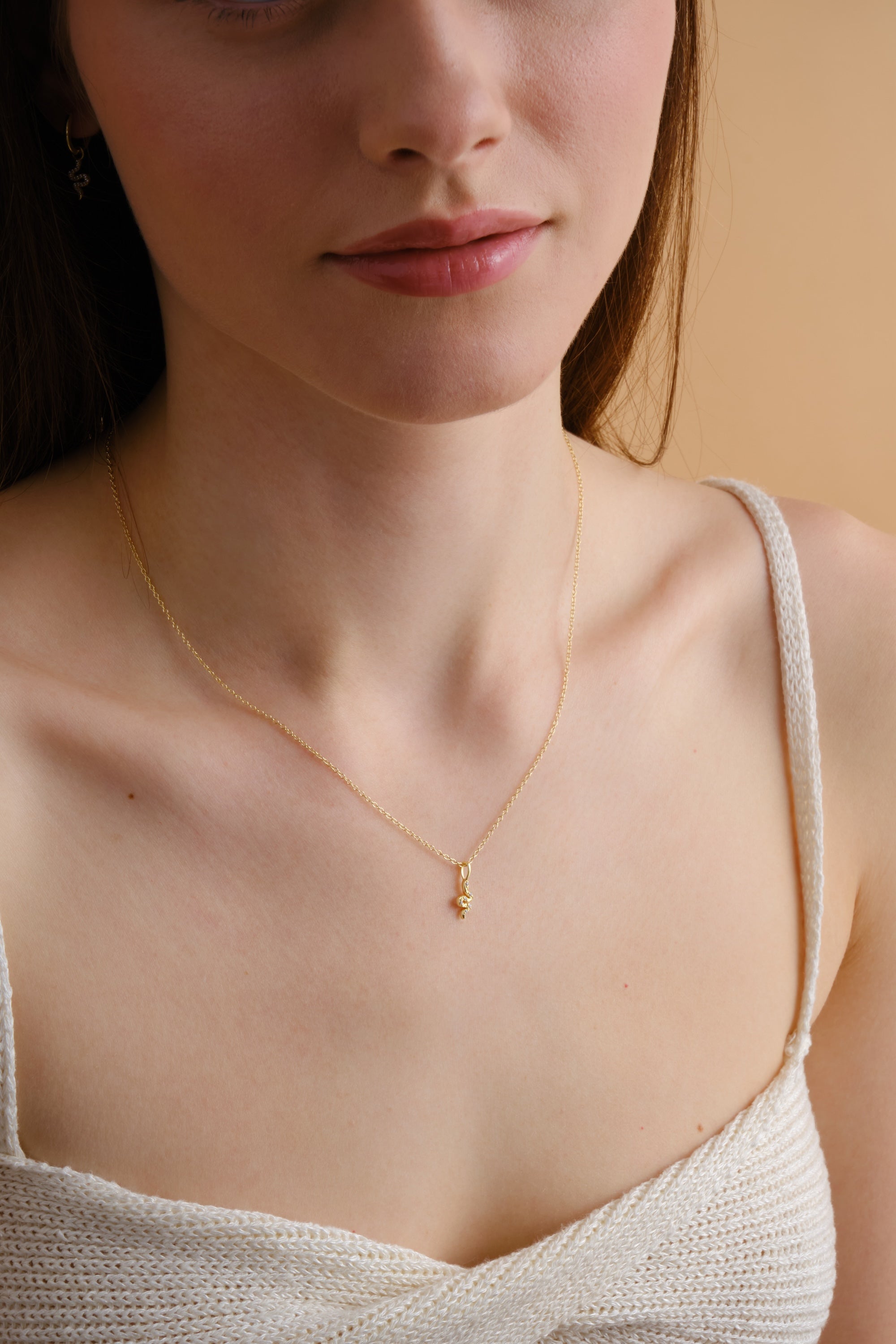 14k Gold Vermeil Diamond Snake Necklace