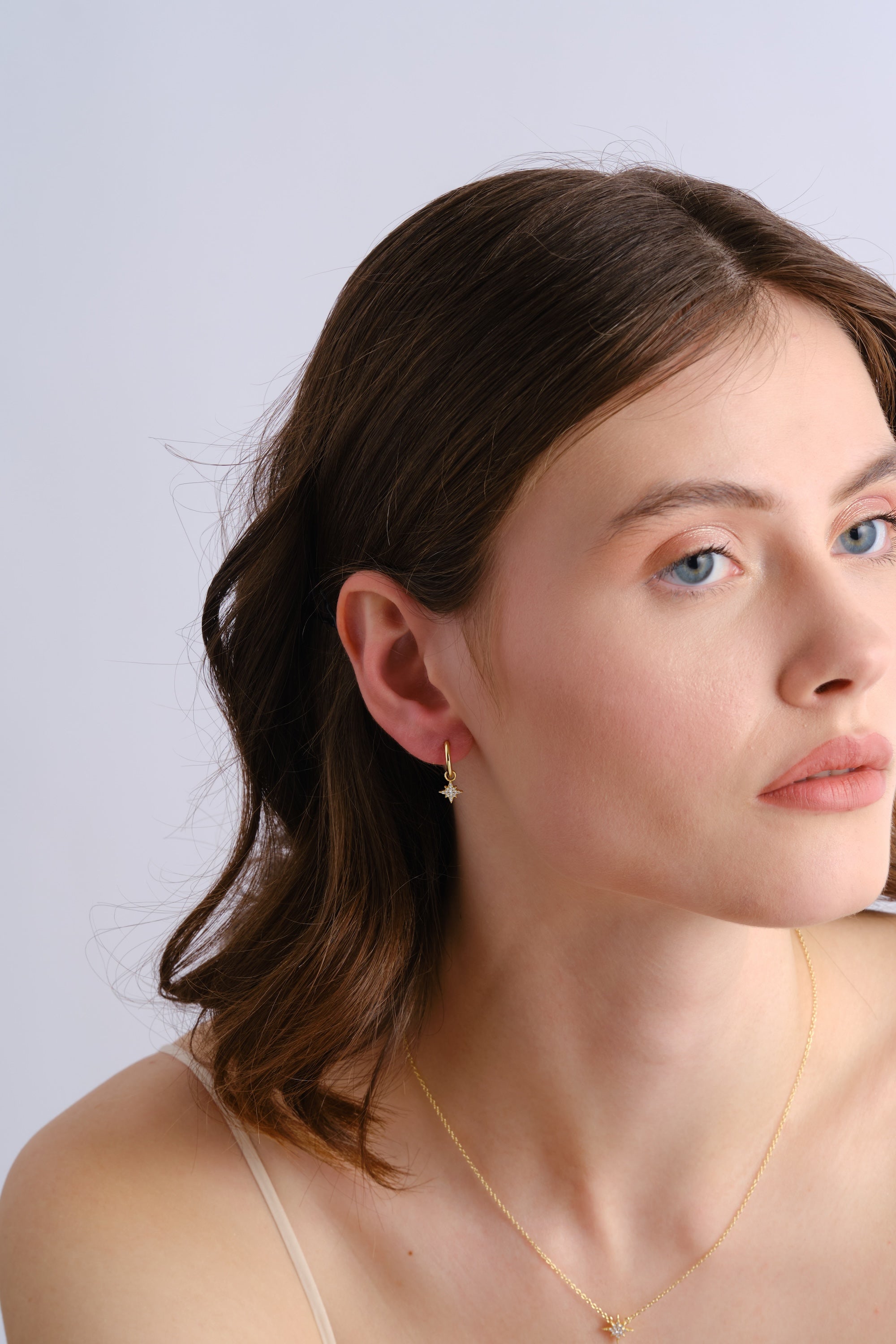 14k Gold Vermeil North Star Earring