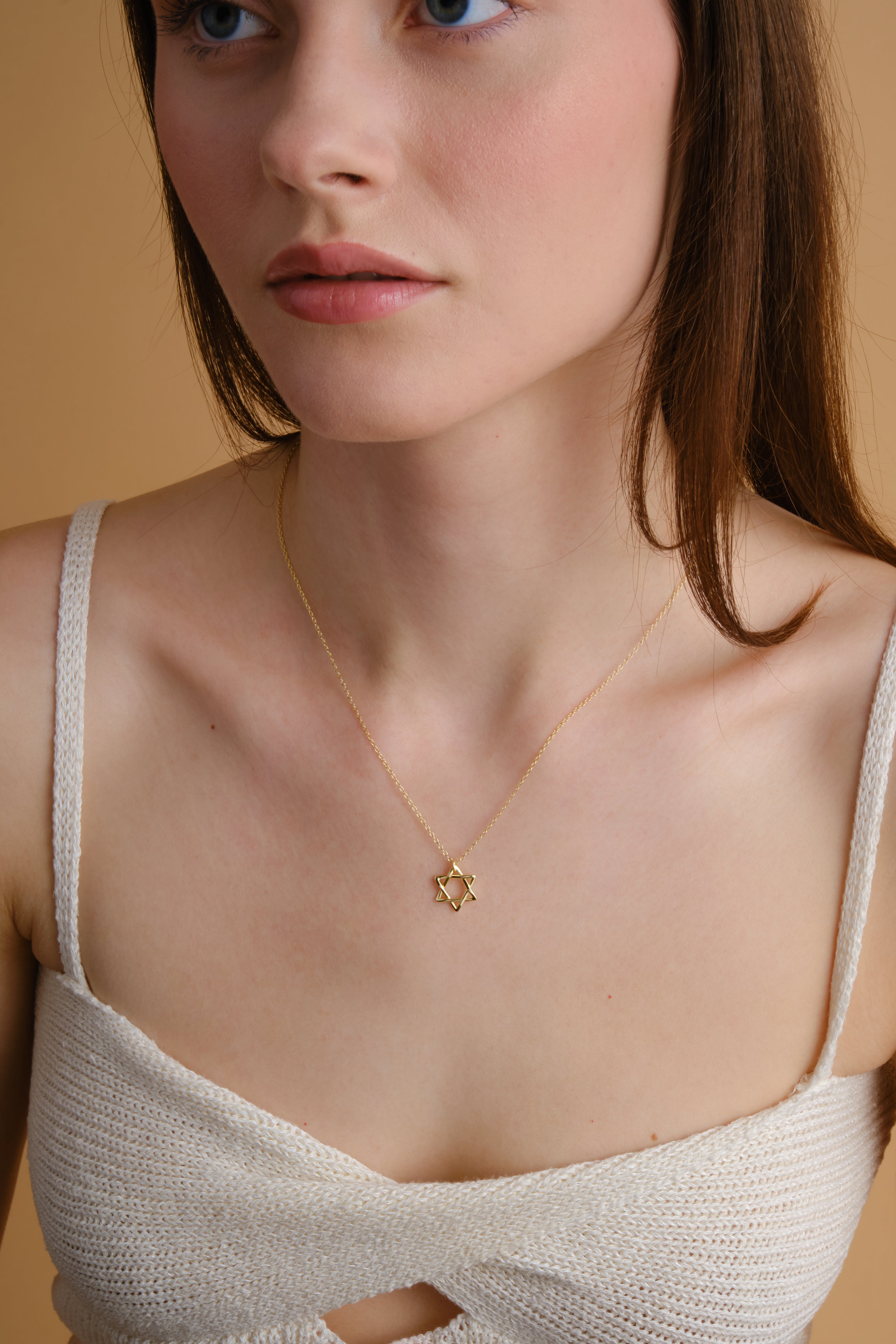 Star of David Necklace, 14K Gold Vermeil