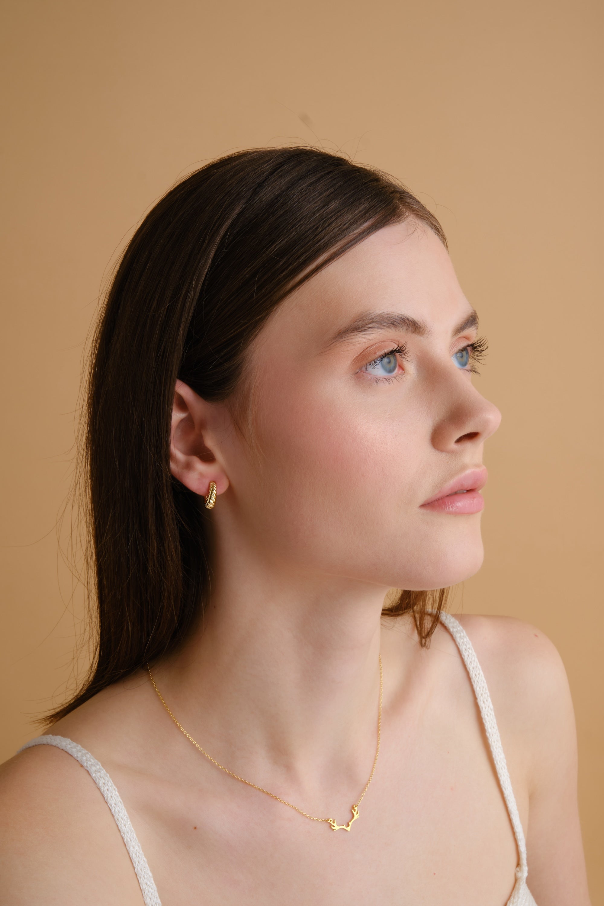 14k Gold Vermeil Croissant Earring